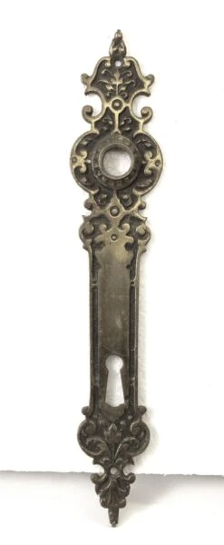 Pair Of Of Gothic European 9.375 In. Passage Door Back Plates 12 Pair Of Of Gothic European 9.375 In. Passage Door Back Plates -OGT Sale Store 14bel8653 04