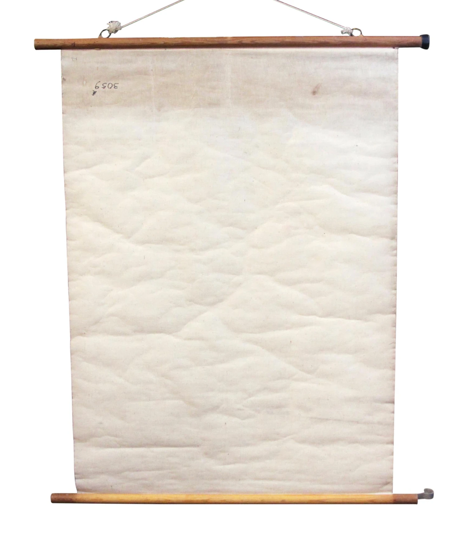 Vintage European Anatomy School Poster 8 Vintage European Anatomy School Poster - Image 6