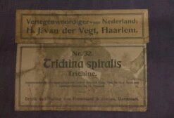 Vintage Worm Anatomy European School Poster 11 Vintage Worm Anatomy European School Poster -OGT Sale Store 18bel10245 05