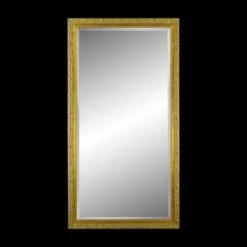 Vintage French Gilt Wood Plaster Beveled Wall Mirror 79 X 42 In.