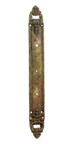 14.875 In. Cast Brass French Door Back Plate