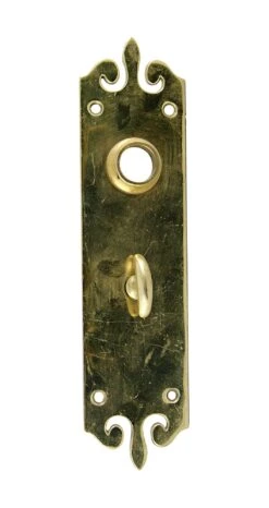 8.5 In. Cast Polished Brass Scroll Door Back Plate