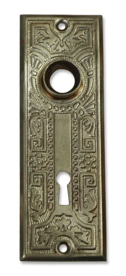 Aesthetic Steel 5.5 In. Passage Door Back Plate