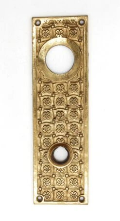 Antique 7.875 In. Polished Bronze Entry Door Back Plate