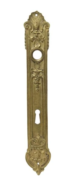 French Ornate Bronze 12.625 In. Door Back Plate With Keyhole