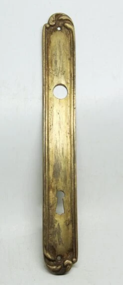 Gilded Single French 10.875 Back Plate