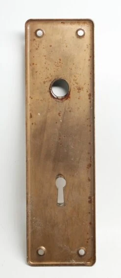 Brass Pressed 7.5 In. Back Plate -OGT Sale Store back plates n243523