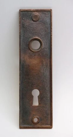 Antique Polished Bronze Taylor & Boggis 5.5 In. Door Plate -OGT Sale Store back plates n256314