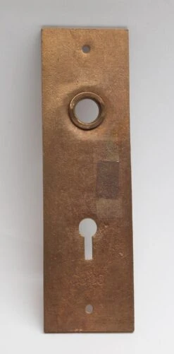 Antique Bronze 5.625 In. H Aesthetic Door Back Plate -OGT Sale Store back plates p264235