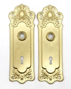 Pair Of Gold Painted Steel Passage Door Back Plates