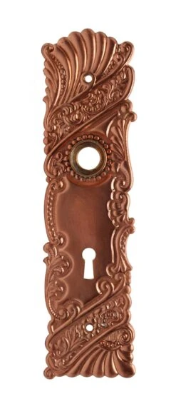 Polished Brass Roanoke Keyhole 8 In. Back Plate