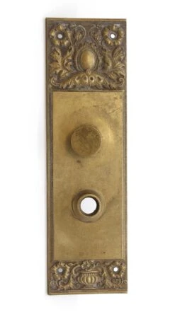 Victorian 9.75 In. Brass Privacy Door Back Plate With Thumb Turn