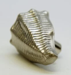 Set Of 10 New Polished Brass Shell Drawer Cabinet Knobs -OGT Sale Store cabinet furniture knobs for sale m229373