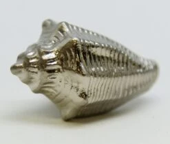 Set Of 10 New Polished Brass Shell Drawer Cabinet Knobs -OGT Sale Store cabinet furniture knobs m229373