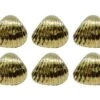 Set Of 10 Repro Knob Hill Shell Drawer Cabinet Knobs 2 Set Of 10 Repro Knob Hill Shell Drawer Cabinet Knobs -OGT Sale Store cabinet furniture knobs set of 10 repro knob hill shell drawer cabinet knobs m229368