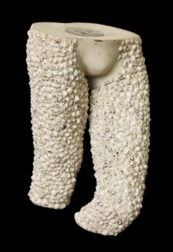 Textured Man Mannequin Torso