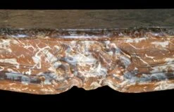 18th Century Louis XV Rouge Royale Brown Marble Mantel 8 18th Century Louis XV Rouge Royale Brown Marble Mantel -OGT Sale Store danny alessandro mantels for sale j180245