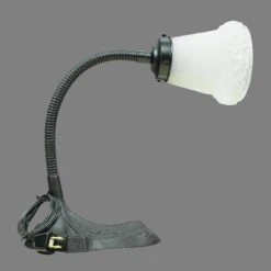 Restored Antique S. Robert Schwartz & Bro. Floral Adjustable Arm Desk Lamp