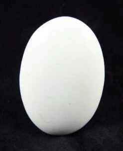 Pair Of Plain White Ceramic Oval Door Knobs 6 Pair Of Plain White Ceramic Oval Door Knobs -OGT Sale Store door knobs k195368