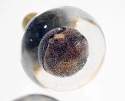 Vintage Modern Clear & Metallic Brown Hand Blown Glass Door Knob 7 Vintage Modern Clear & Metallic Brown Hand Blown Glass Door Knob -OGT Sale Store door knobs l198805