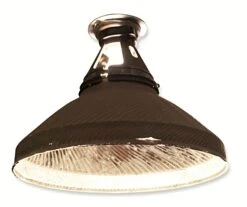 Antique 12 In. Industrial Mercury Glass Pendant Light