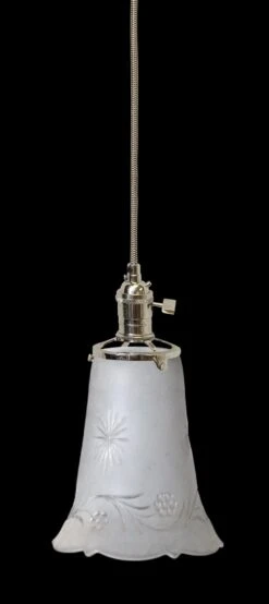 Custom Vintage Etched Floral Glass 5 In. Globe Pendant Light