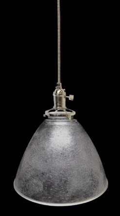 Custom Vintage Floral Clear 8 In. Pendant Light