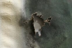 Reclaimed Painted Landscape Mural Wallpaper Canvas -OGT Sale Store f117282 08