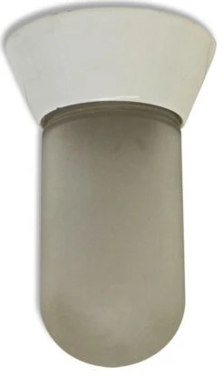 1950s Modern Frosted Glass Porcelain Base Semi Flush Mount