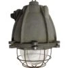 Heavy Cast Aluminum Industrial Light With Cage Cover -OGT Sale Store industrial commercial heavy cast aluminum industrial light with cage cover 13bel8024