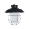 Reclaimed Enameled Steel Frosted Glass Industrial Cage Light