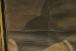 Signed Antique Bjornstjerne Bjornson Portrait Nobel Prize -OGT Sale Store l211497 04