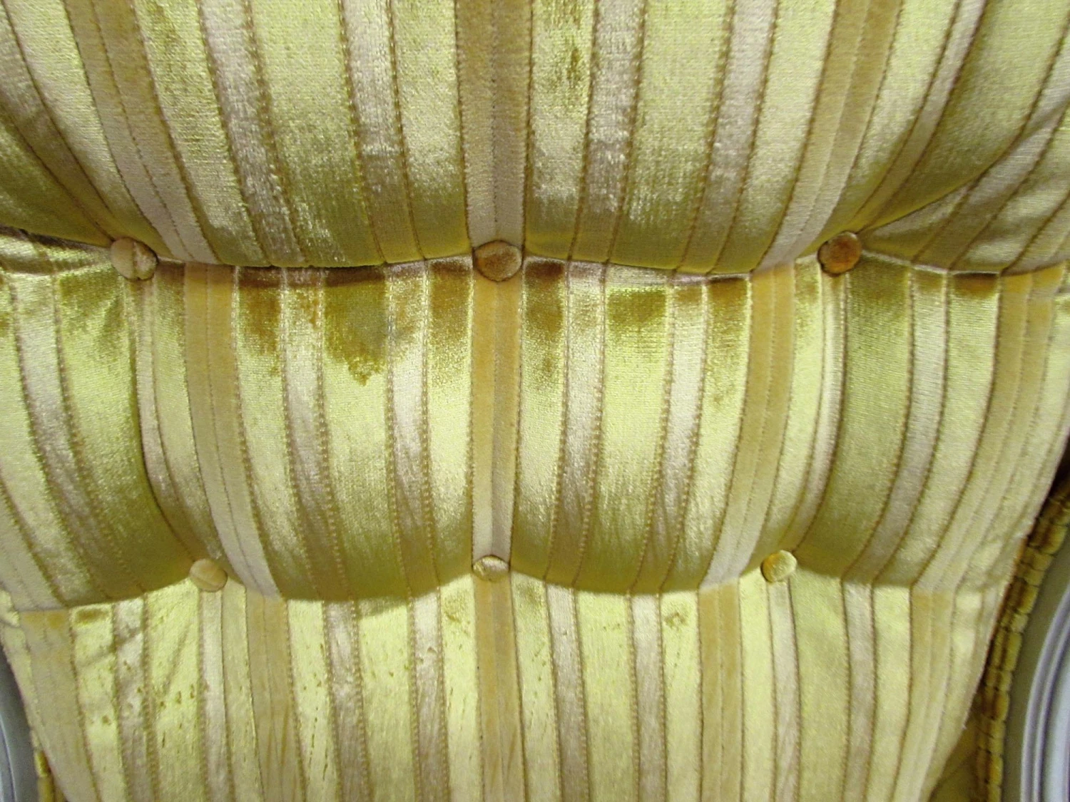 Pair Of Yellow Velvet French Provincial Parlor Chairs 11 Pair Of Yellow Velvet French Provincial Parlor Chairs - Image 9