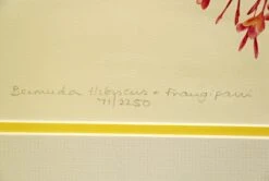 Pair Of Gold Framed Floral Prints 20 Pair Of Gold Framed Floral Prints -OGT Sale Store m223109 04