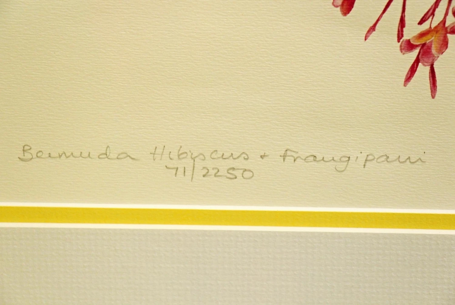 Pair Of Gold Framed Floral Prints 6 Pair Of Gold Framed Floral Prints - Image 4