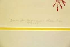 Pair Of Gold Framed Floral Prints 23 Pair Of Gold Framed Floral Prints -OGT Sale Store m223109 07