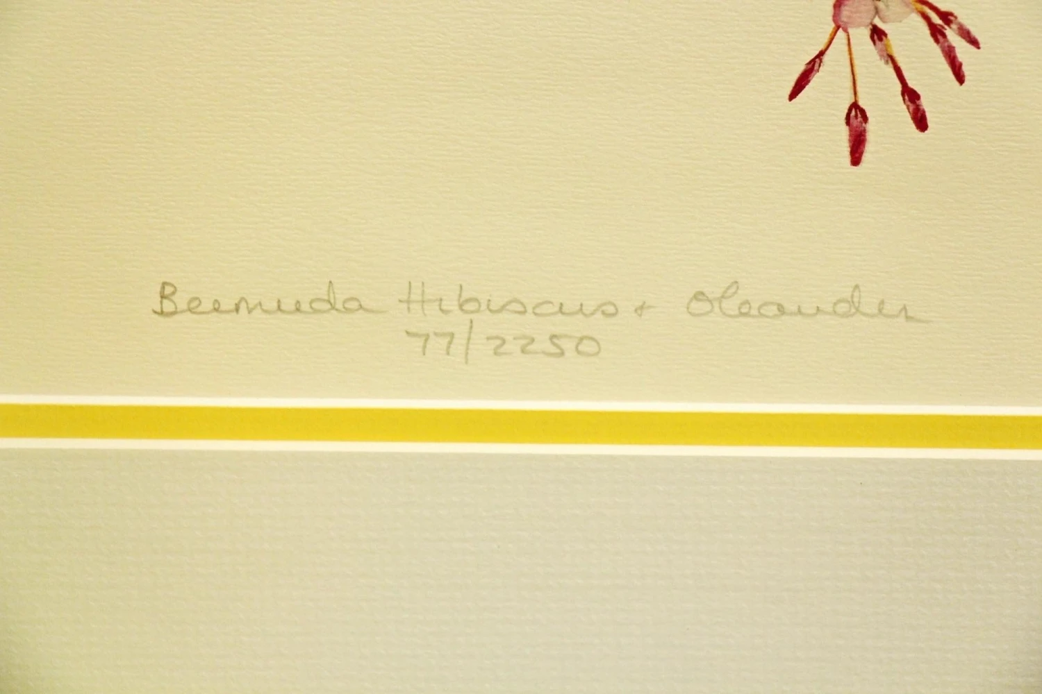 Pair Of Gold Framed Floral Prints 9 Pair Of Gold Framed Floral Prints - Image 7