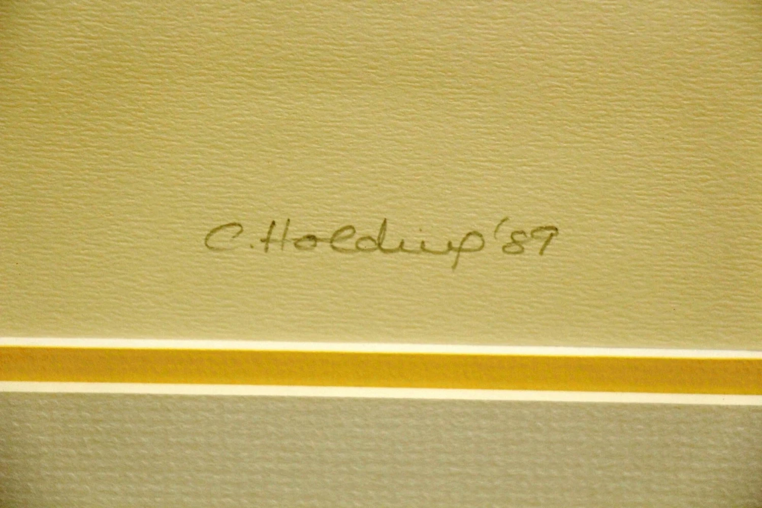 Pair Of Gold Framed Floral Prints 10 Pair Of Gold Framed Floral Prints - Image 8