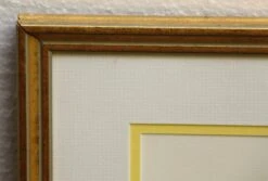 Pair Of Gold Framed Floral Prints 25 Pair Of Gold Framed Floral Prints -OGT Sale Store m223109 09