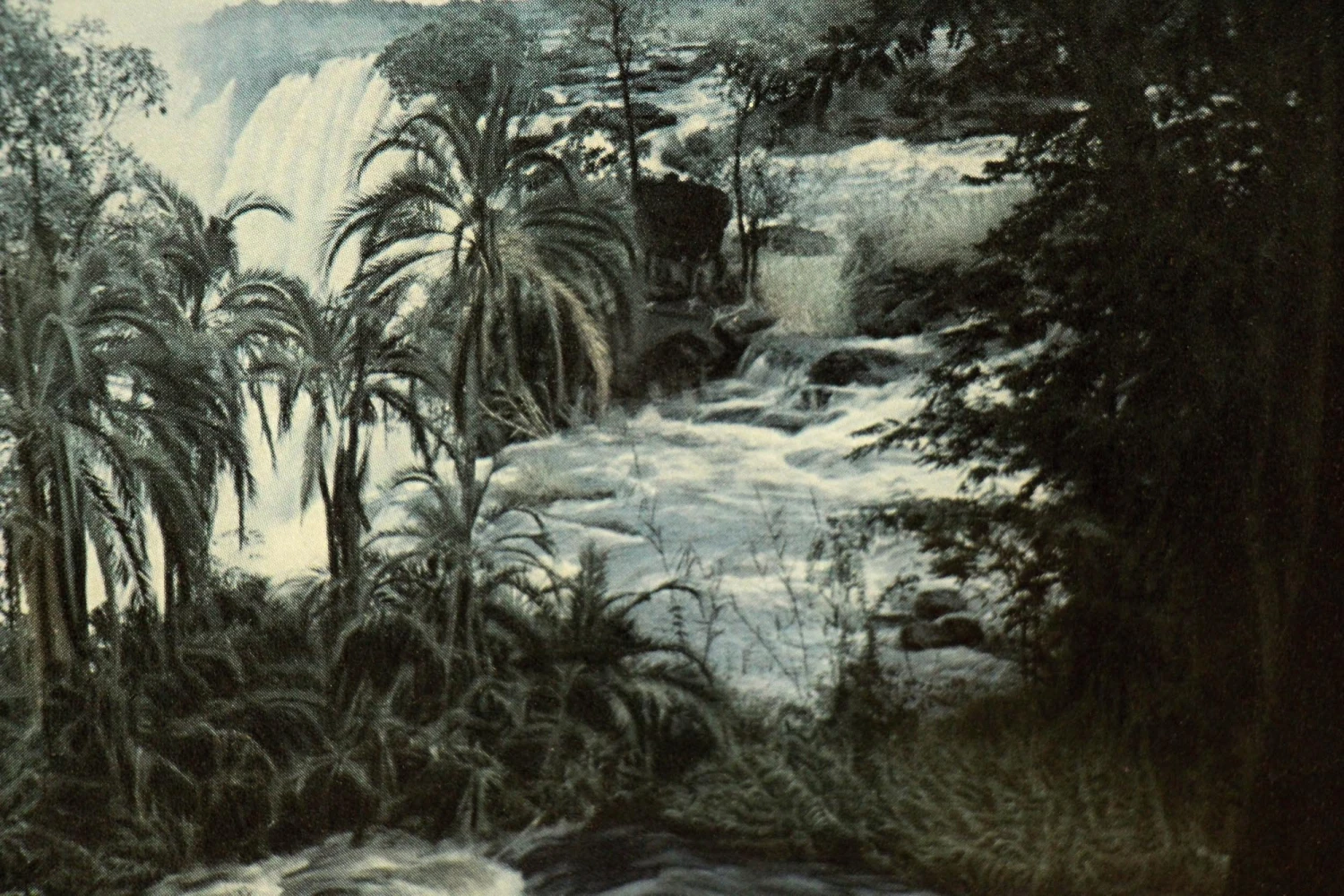 Framed & Matted Portrait 5 Framed & Matted Portrait - Image 4