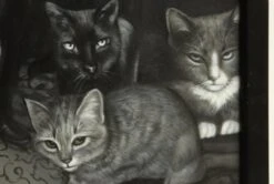 Black & White Framed Portrait 14 Black & White Framed Portrait -OGT Sale Store m230944 06