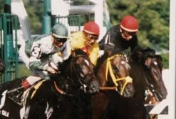 Vintage Framed Horse Racing Photo 11 Vintage Framed Horse Racing Photo -OGT Sale Store m231572 04