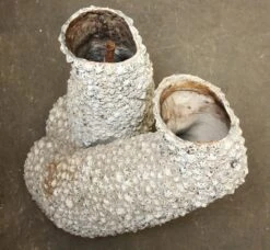 Textured Man Mannequin Torso -OGT Sale Store m235314 06