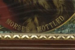 1886 Framed Louise Portrait 16 1886 Framed Louise Portrait -OGT Sale Store m235893 06