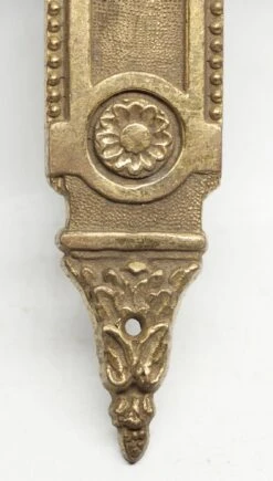 Single Decorative French Brass 12 In. Back Plate -OGT Sale Store n243528 04