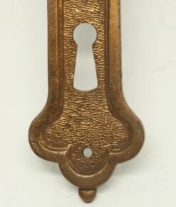Antique French Bronze 9.25 In. Door Plates -OGT Sale Store n250950 05