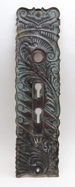 Double Keyhole Pressed Brass Roanoke 9.375 In. Door Back Plate 10 Double Keyhole Pressed Brass Roanoke 9.375 In. Door Back Plate -OGT Sale Store n255894 04