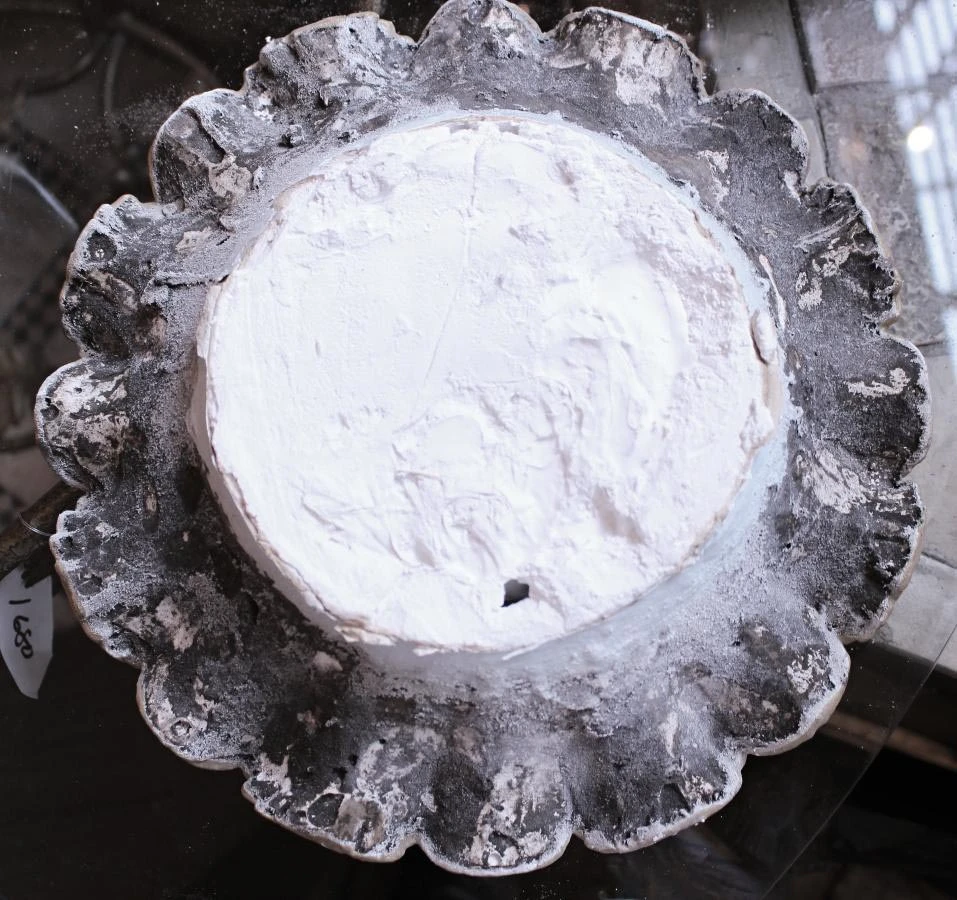 Architectural Plaster Floret 5 Architectural Plaster Floret - Image 3