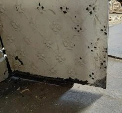 Off White Fire Back Set With Fleur De Lis Design -OGT Sale Store p258835 07