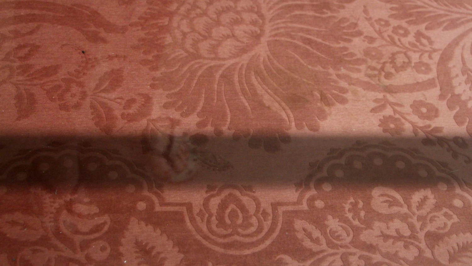 Carved Mahogany Showcase With Cabriole Legs 6 Carved Mahogany Showcase With Cabriole Legs - Image 4